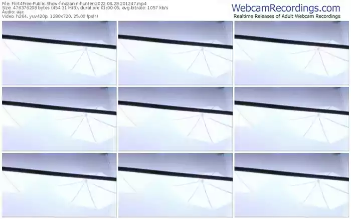 flirt4free-nazanin-hunter-08-28-2022-20-12-47