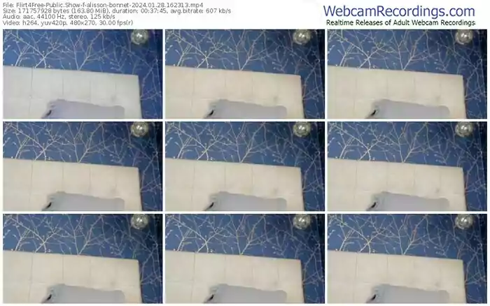 flirt4free-alisson-bonnet-01-28-2024-16-23-13