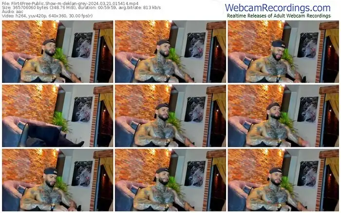 flirt4free-deklan-grey-03-21-2024-01-54-14