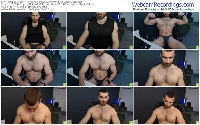 flirt4free-damon-veins-03-28-2024-09-58-41