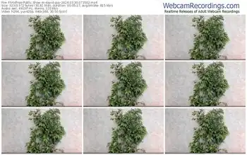 flirt4free-david-guy-03-30-2024-07-35-02