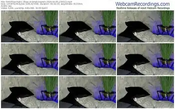 flirt4free-brad-mayers-04-05-2024-23-30-13