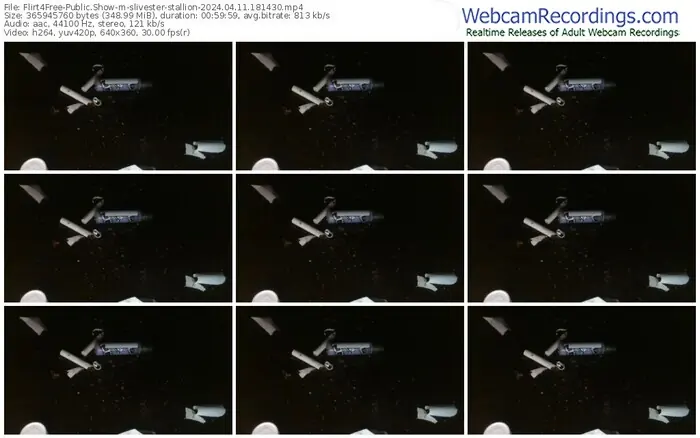 flirt4free-slivester-stallion-04-11-2024-18-14-30