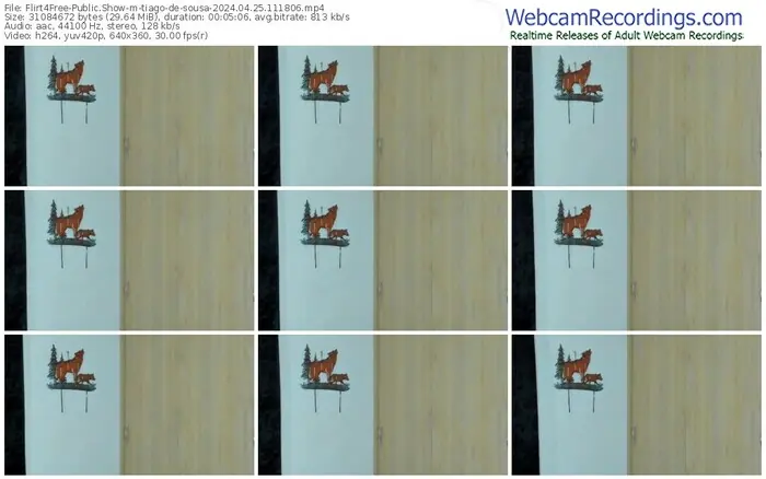 flirt4free-tiago-de-sousa-04-25-2024-11-18-06