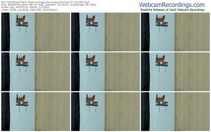 flirt4free-tiago-de-sousa-04-27-2024-14-13-49