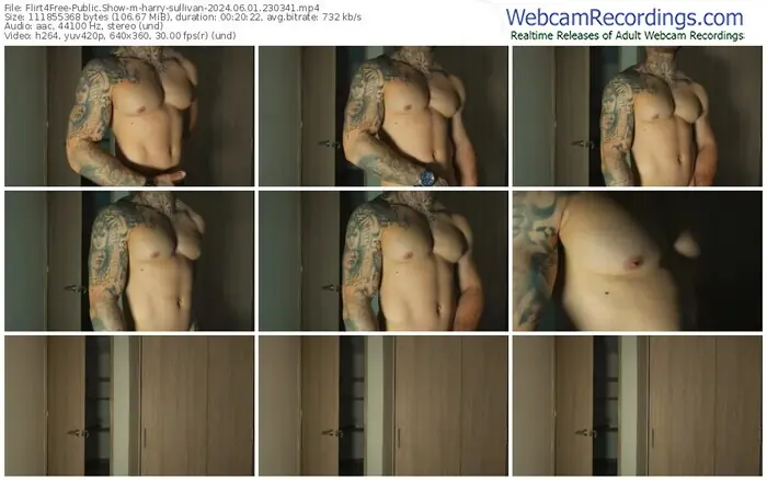 flirt4free-harry-sullivan-06-01-2024-23-03-41