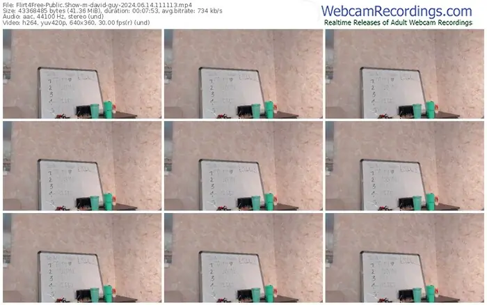 flirt4free-david-guy-06-14-2024-11-11-13