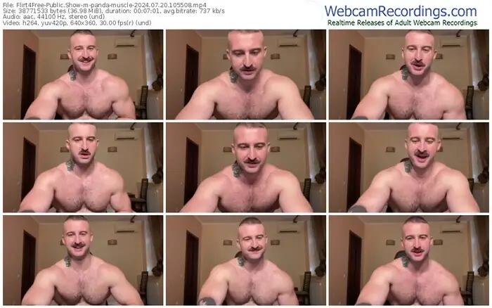flirt4free-panda-muscle-07-20-2024-10-55-08