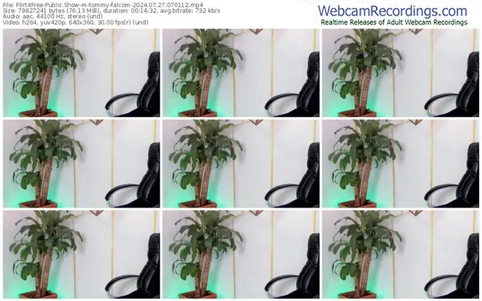 flirt4free-tommy-falcom-07-27-2024-07-01-12