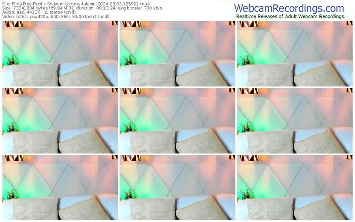 flirt4free-tommy-falcom-08-03-2024-12-59-21