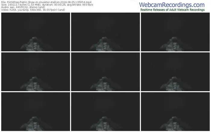 flirt4free-slivester-stallion-08-05-2024-13-59-54