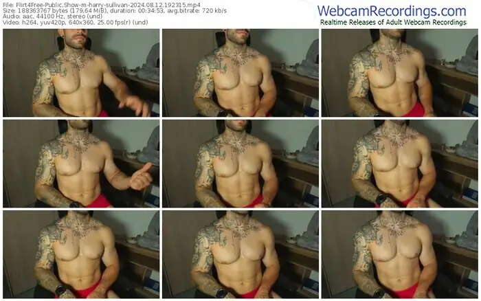 flirt4free-harry-sullivan-08-12-2024-19-23-15