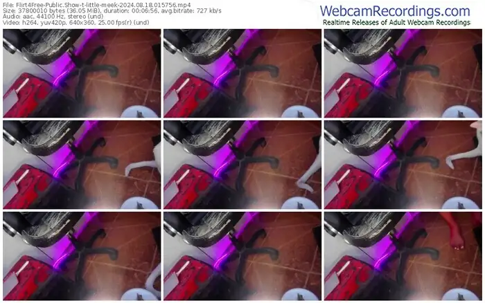 flirt4free-little-meek-08-18-2024-01-57-56