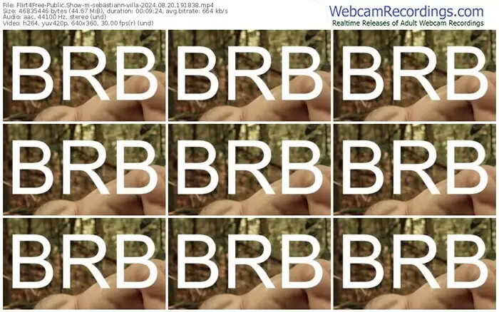 flirt4free-sebastiann-villa-08-20-2024-19-18-38