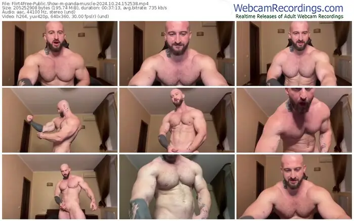 flirt4free-panda-muscle-10-24-2024-15-25-38