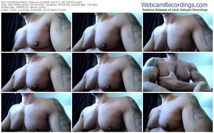 flirt4free-morttek-11-05-2024-12-10-51