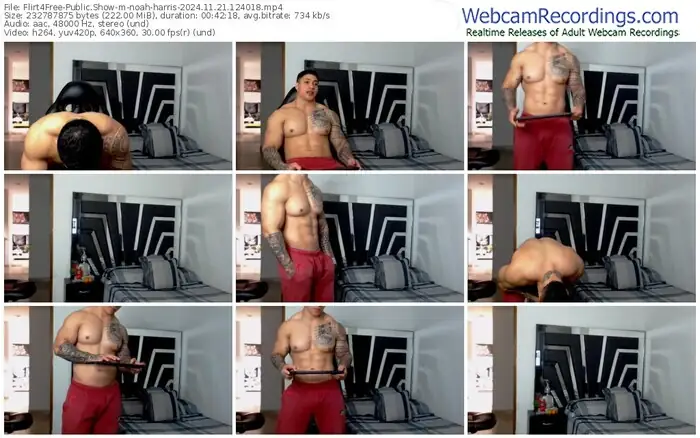 flirt4free-noah-harris-11-21-2024-12-40-18
