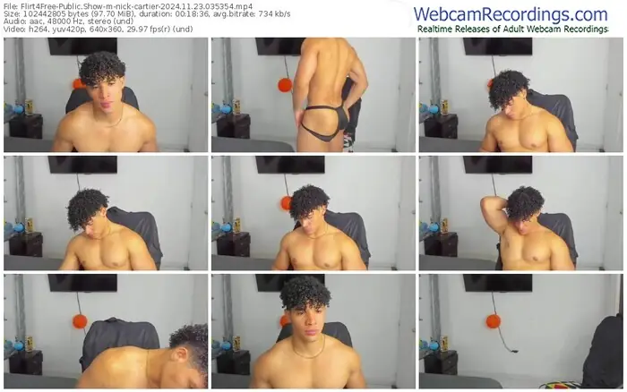 flirt4free-nick-cartier-11-23-2024-03-53-54