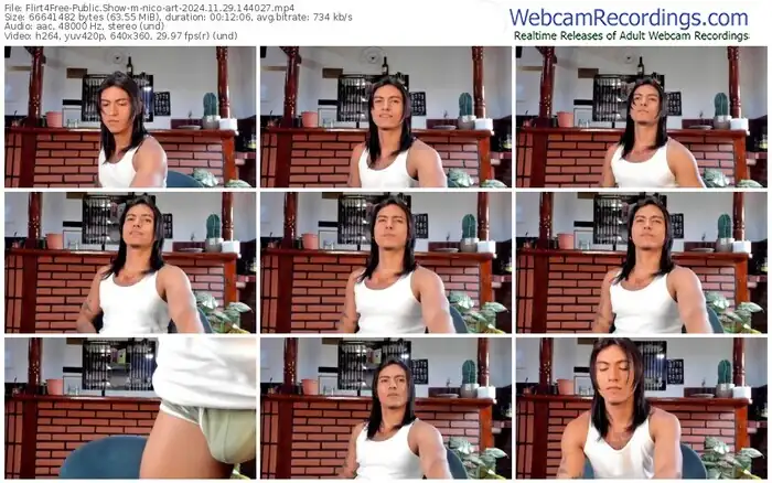 flirt4free-nico-art-11-29-2024-14-40-27