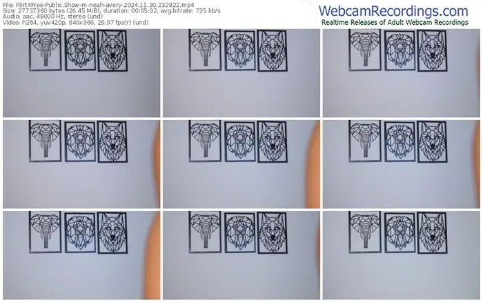 flirt4free-noah-avery-11-30-2024-23-28-22