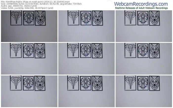 flirt4free-noah-avery-11-30-2024-23-40-43