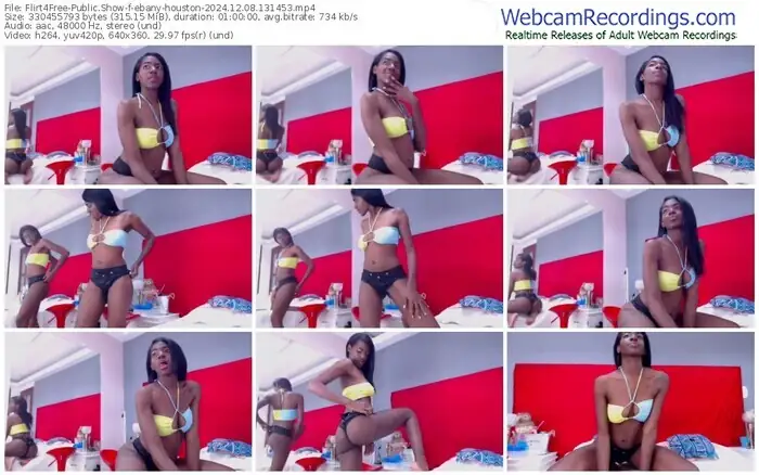 flirt4free-ebany-houston-12-08-2024-13-14-53