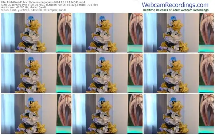 flirt4free-joe-jonass-12-27-2024-17-46-43