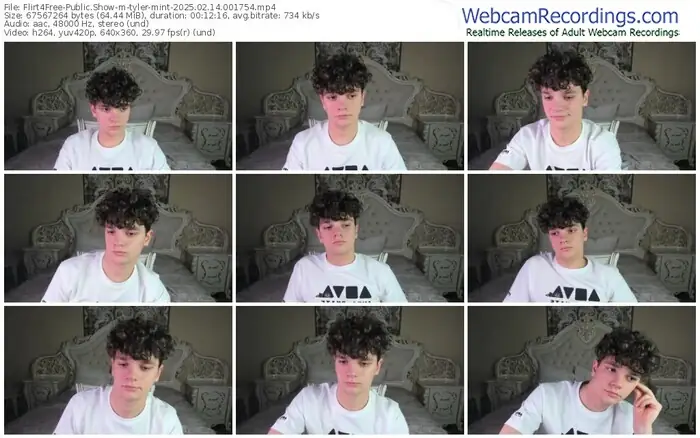 flirt4free-tyler-mint-02-14-2025-00-17-54