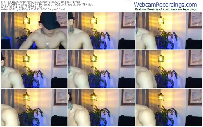 flirt4free-joe-jonass-03-06-2025-01-45-14