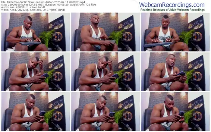 flirt4free-liam-dalton-04-11-2025-01-00-52