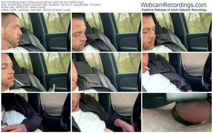 flirt4free-lex-driver-04-20-2025-14-28-02