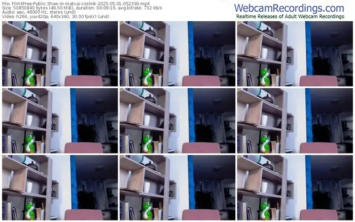 flirt4free-matius-coslink-05-01-2025-05-23-30