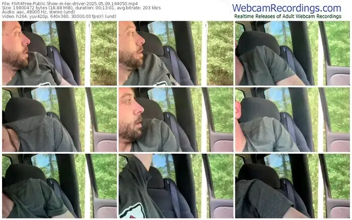 flirt4free-lex-driver-05-09-2025-19-40-50