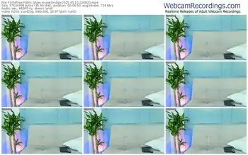 flirt4free-joe-bridge-05-10-2025-22-08-20