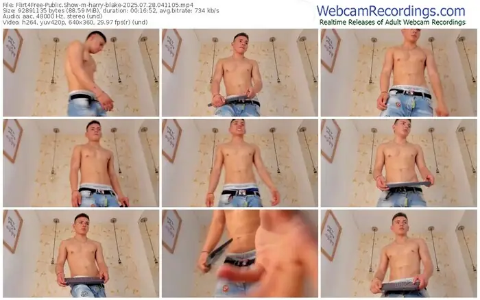 flirt4free-harry-blake-07-28-2025-04-11-05