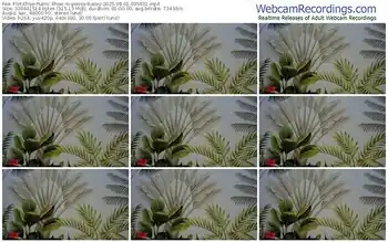 flirt4free-pierce-bailey-08-01-2025-03-56-31