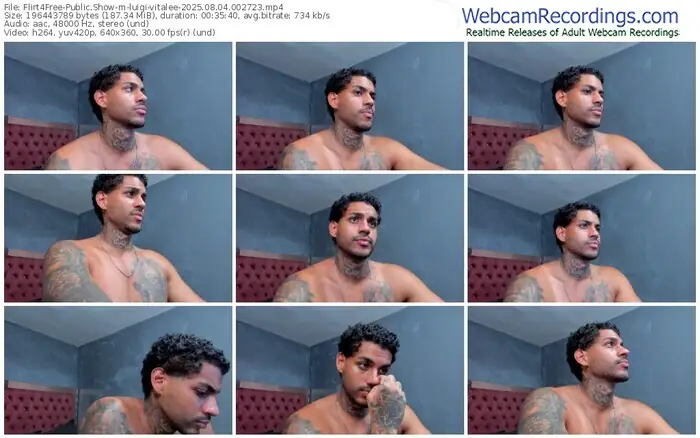 flirt4free-luigi-vitalee-08-04-2025-00-27-23