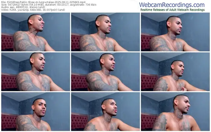 flirt4free-luigi-vitalee-08-11-2025-02-58-43