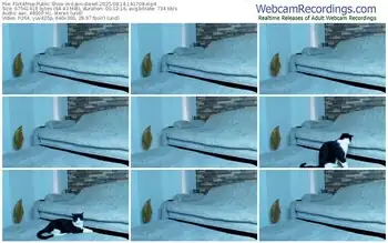 flirt4free-zaiin-diesel-08-14-2025-14-17-08