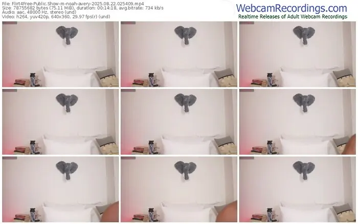 flirt4free-noah-avery-08-22-2025-02-54-09