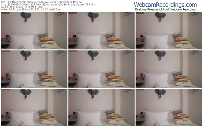 flirt4free-noah-avery-08-23-2025-02-24-40