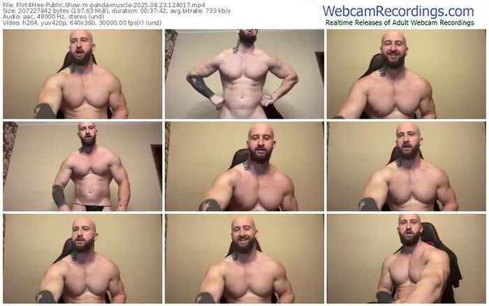 flirt4free-panda-muscle-08-23-2025-12-40-17