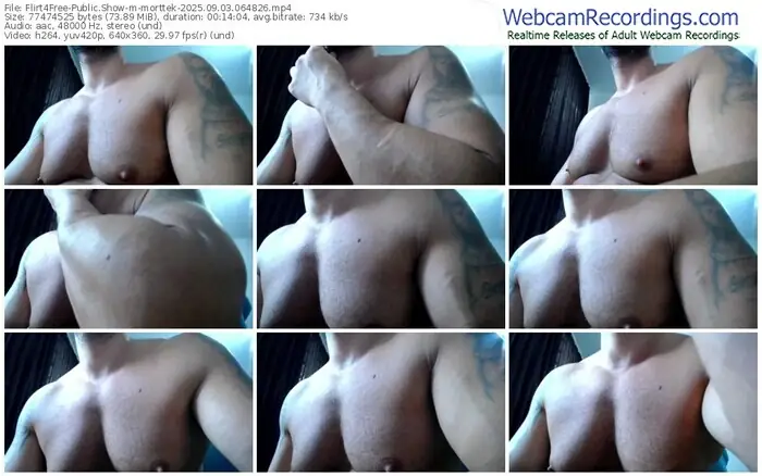 flirt4free-morttek-09-03-2025-06-48-26