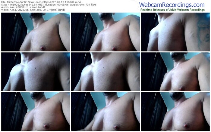 flirt4free-morttek-09-13-2025-11-09-07