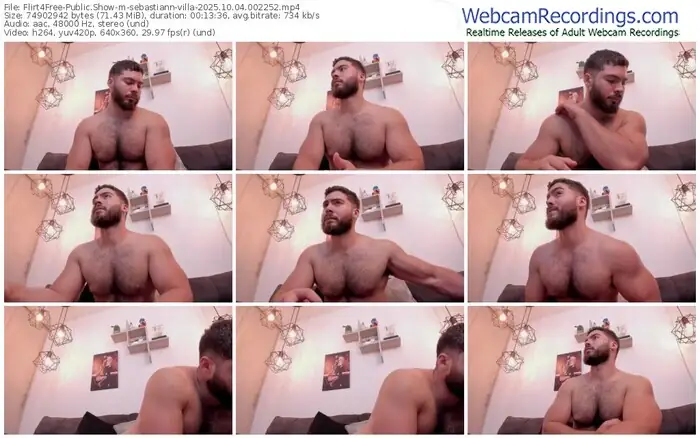 flirt4free-sebastiann-villa-10-04-2025-00-22-52