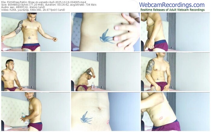 flirt4free-venedic-bull-10-19-2025-03-40-05