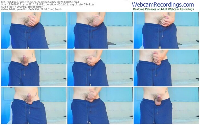 flirt4free-joe-bridge-10-26-2025-01-00-50