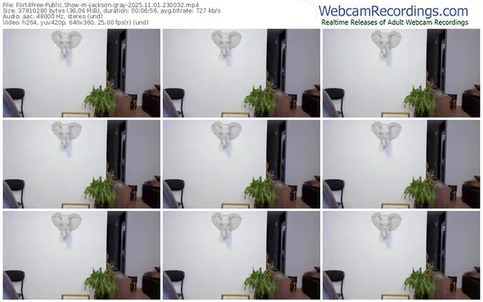 flirt4free-jackson-gray-11-01-2025-23-00-32