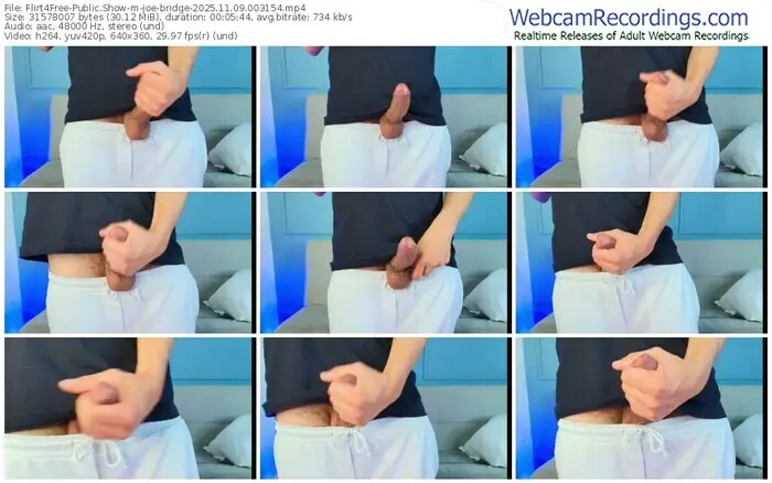 flirt4free-joe-bridge-11-09-2025-00-31-54