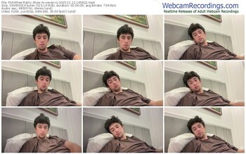 flirt4free-vexen-io-11-12-2025-16-58-22